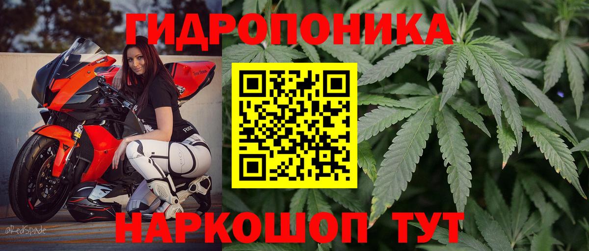 Шишки марихуана SATIVA & INDICA  Вход с VPN  Конопля Bruce Banner  Верхняя Салда  МАРИХУАНА сатива 
